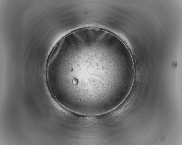 X0000090970903200708091433