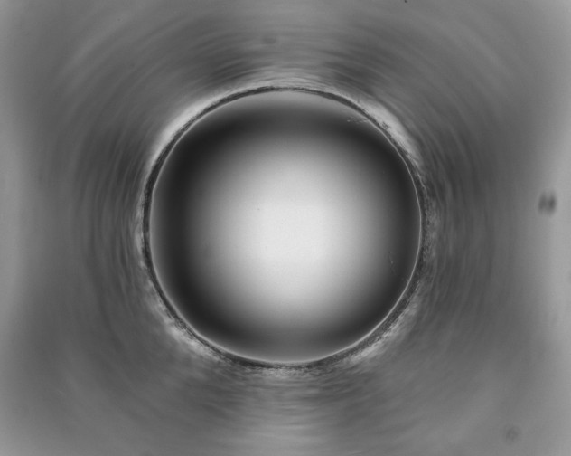 X0000090970904200708091433