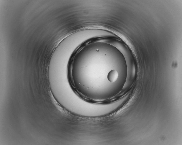 X0000090970905200708091433