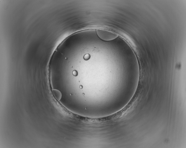 X0000090970907200708091433