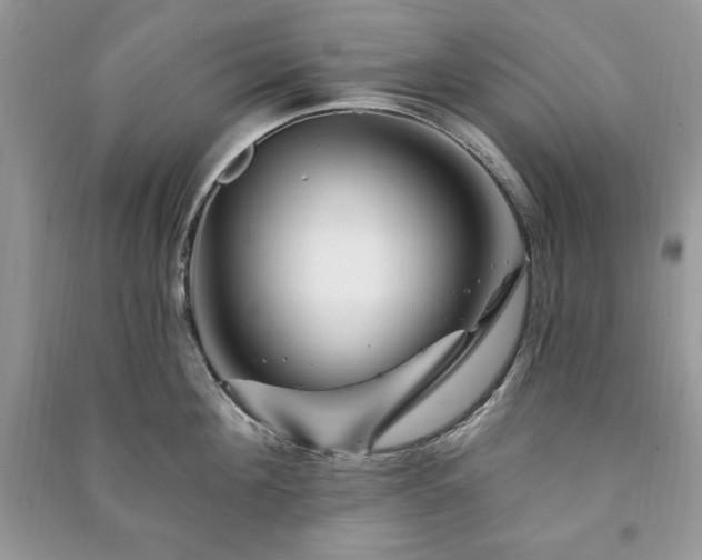 X0000090970908200708091433