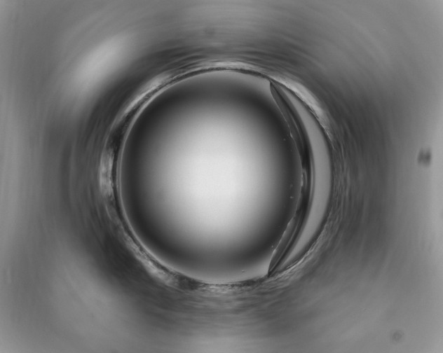 X0000090970910200708091433