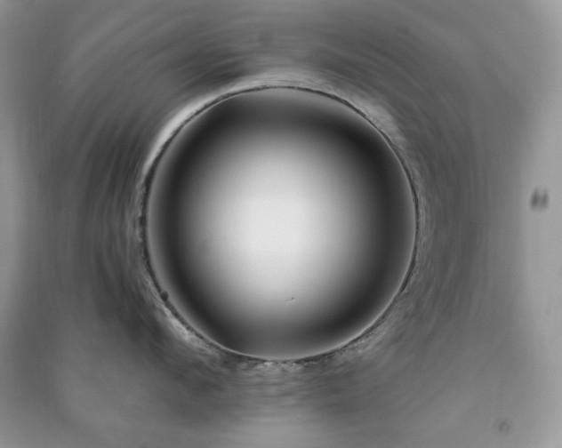 X0000090970912200708091433