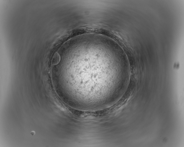 X0000090970913200708091432