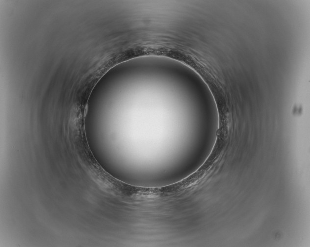 X0000090970914200708091432