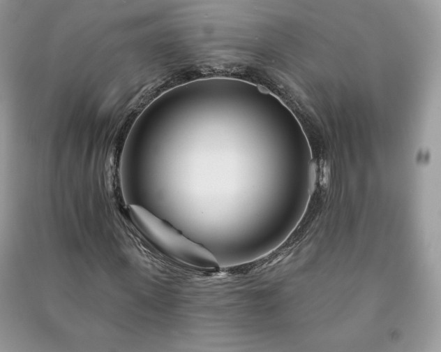 X0000090970915200708091432