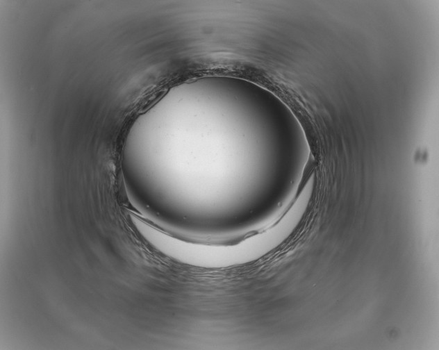 X0000090970916200708091432