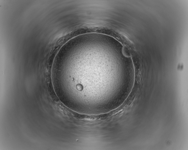 X0000090970917200708091432