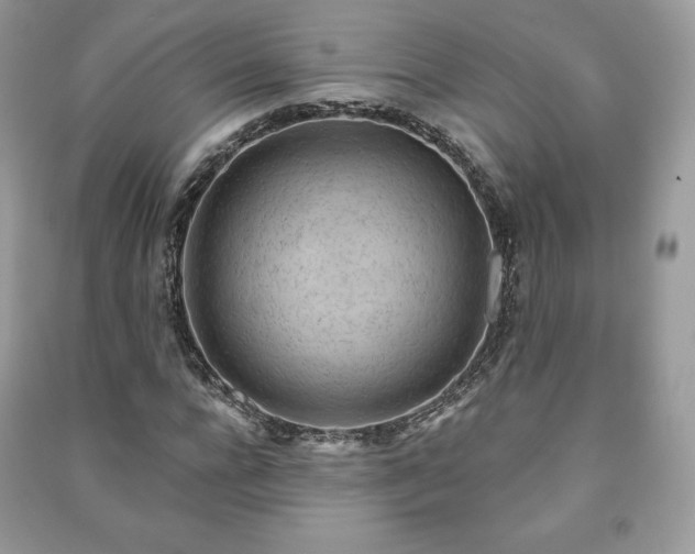 X0000090970920200708091432