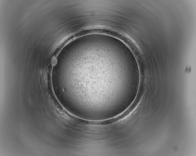 X0000090970921200708091432