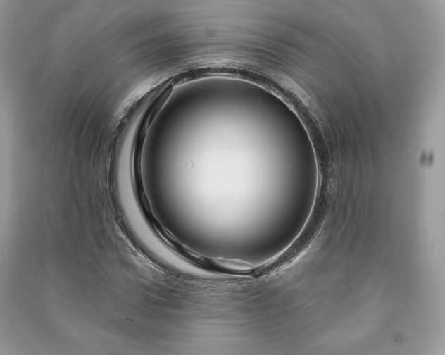 X0000090970922200708091433