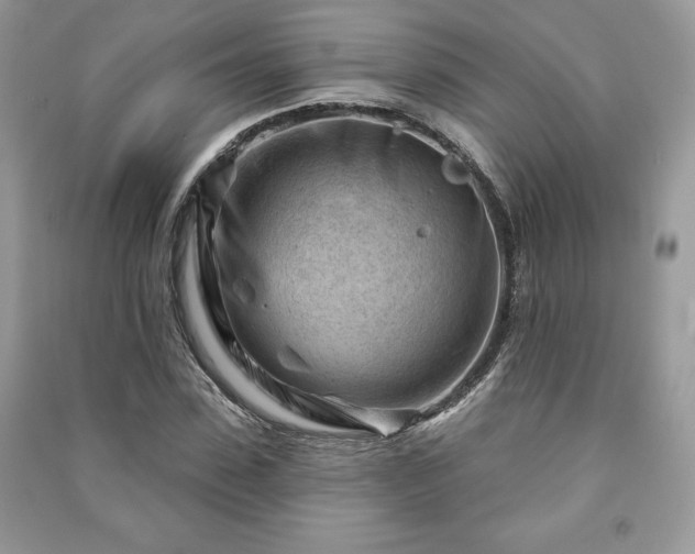 X0000090970923200708091433