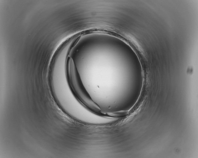 X0000090970924200708091433