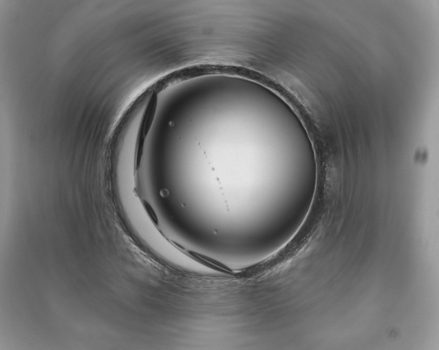 X0000090970926200708091433