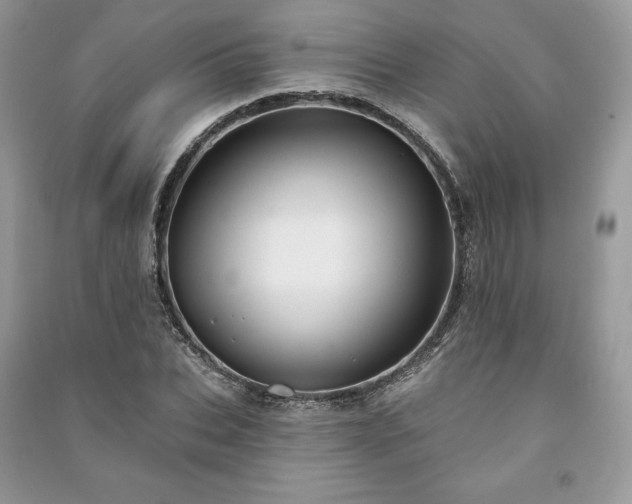 X0000090970927200708091433