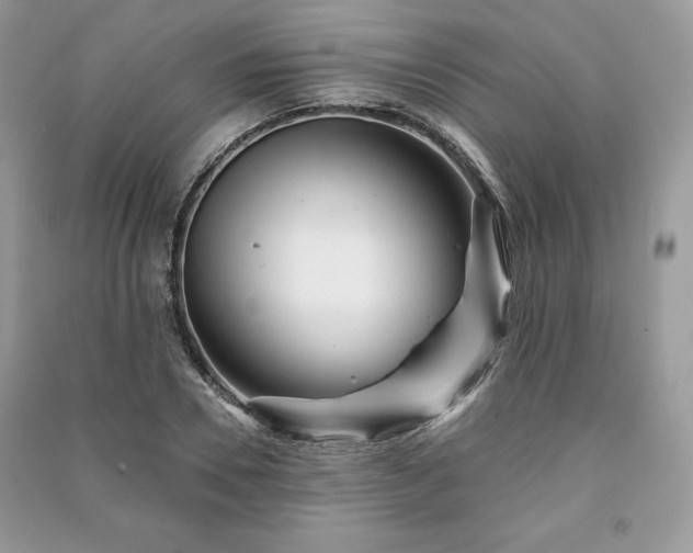 X0000090970930200708091433