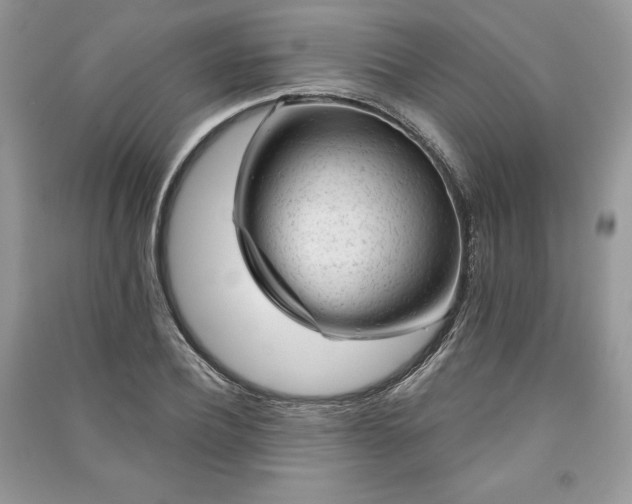 X0000090970932200708091433