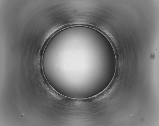 X0000090970933200708091433