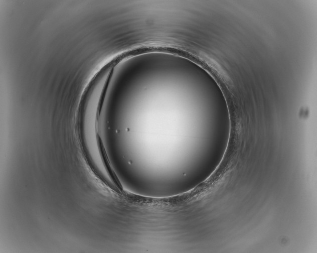 X0000090970934200708091433