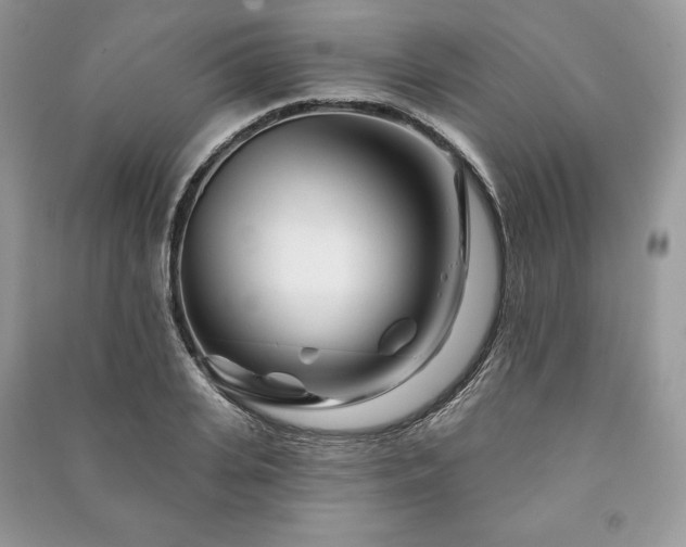 X0000090970935200708091433