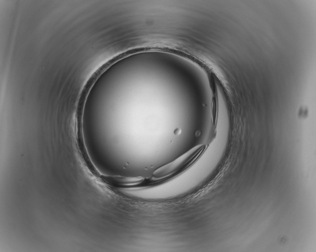 X0000090970936200708091433