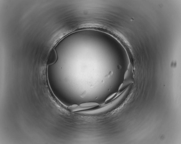 X0000090970937200708091433