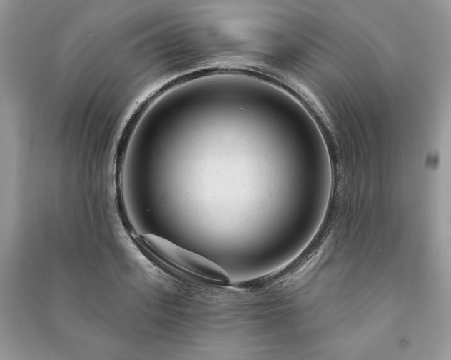 X0000090970939200708091433