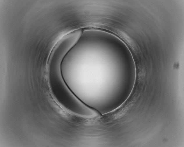 X0000090970940200708091433