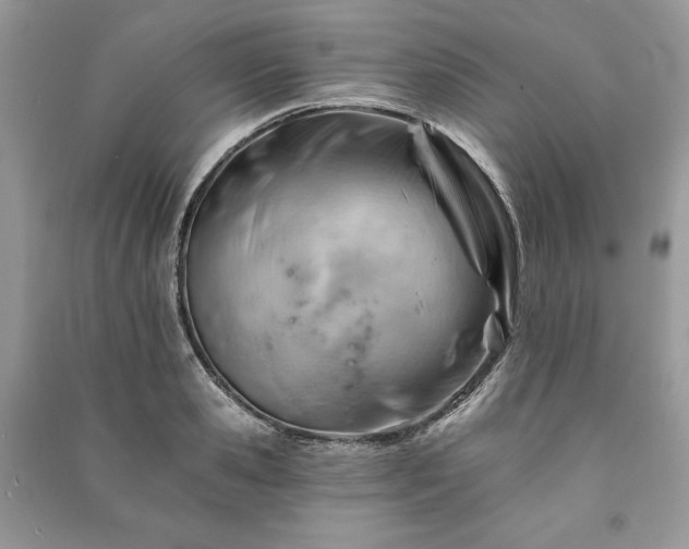 X0000090970941200708091433