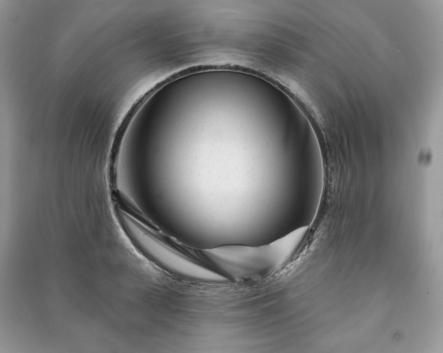 X0000090970943200708091433