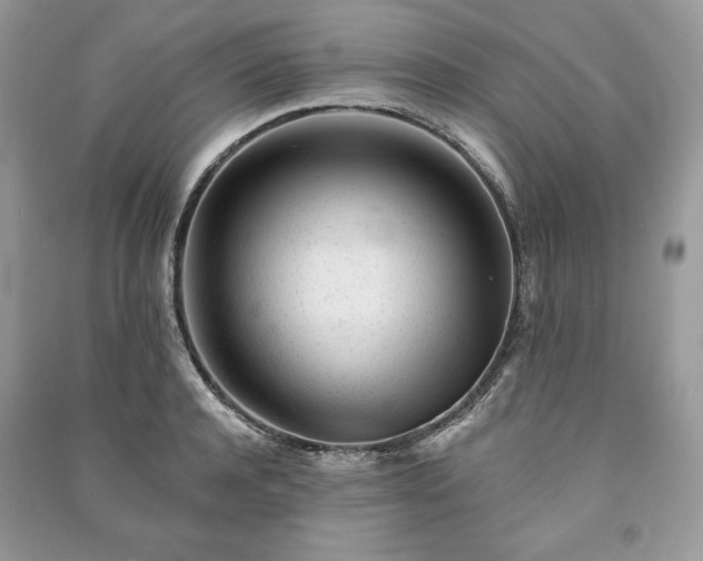 X0000090970944200708091433