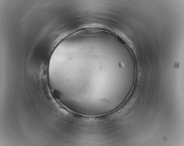 X0000090970945200708091433