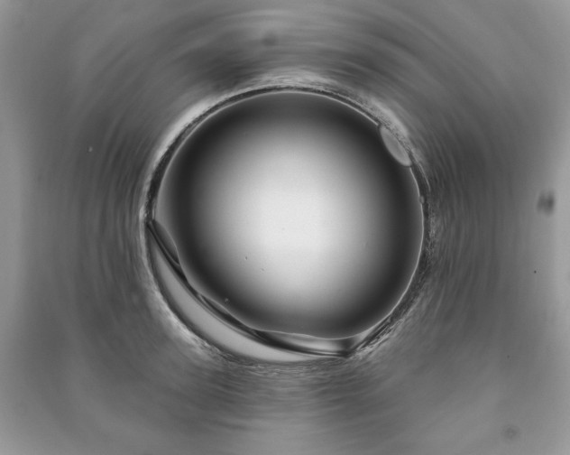 X0000090970947200708091433