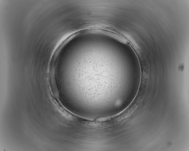 X0000090970948200708091433