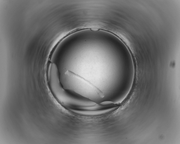 X0000090970949200708091433