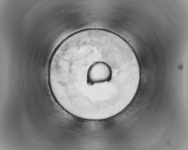 X0000090970950200708091433