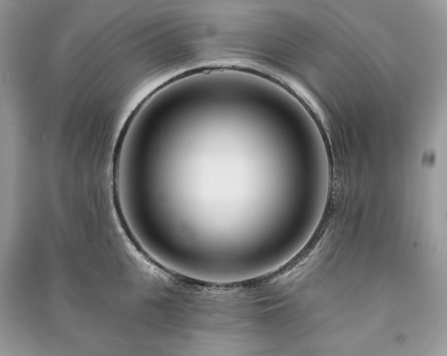 X0000090970951200708091433