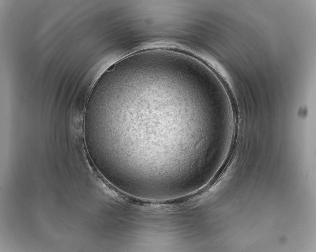 X0000090970953200708091433