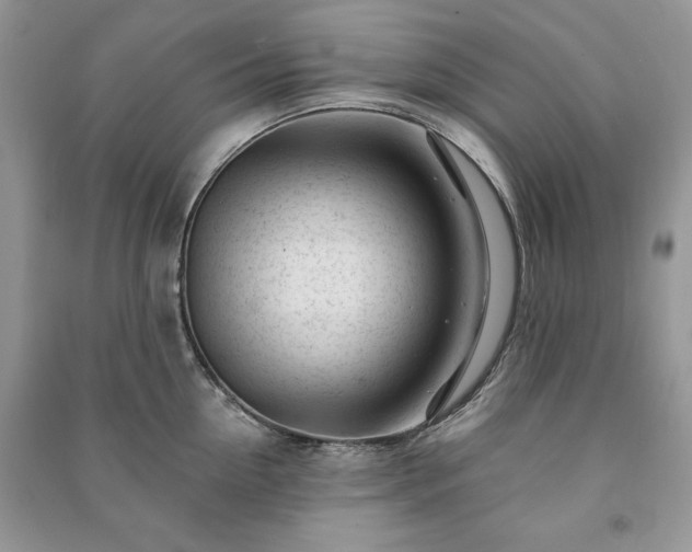 X0000090970954200708091433