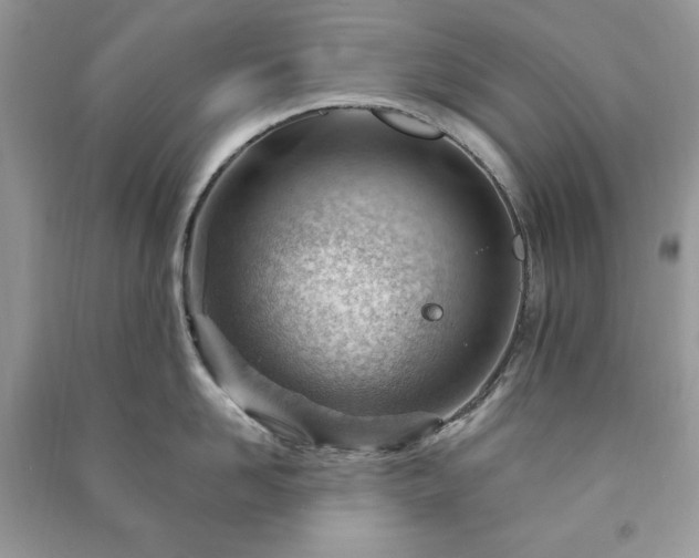 X0000090970958200708091433