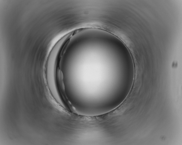 X0000090970960200708091433