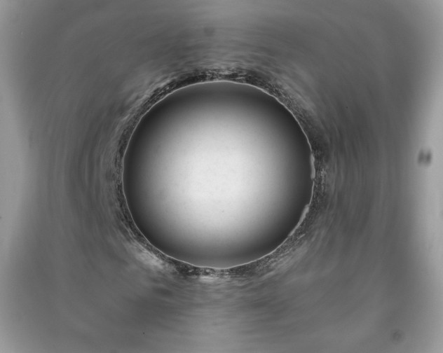 X0000090970961200708091432