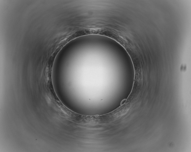 X0000090970962200708091432