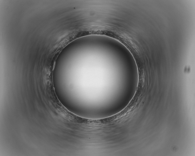 X0000090970964200708091432