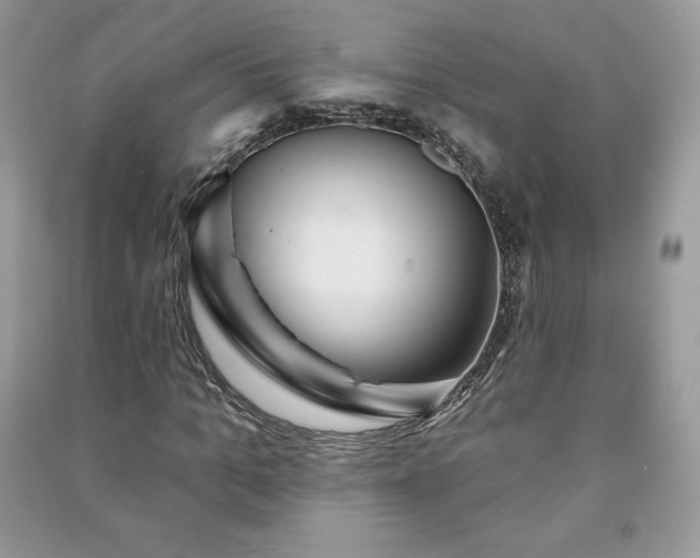 X0000090970965200708091432