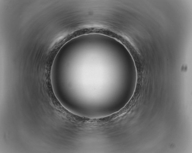 X0000090970967200708091432