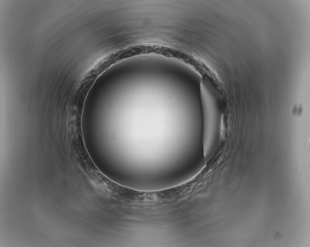 X0000090970968200708091432