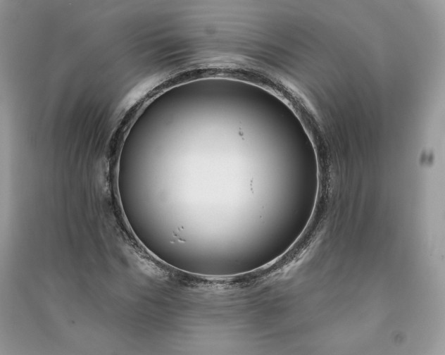 X0000090970970200708091432