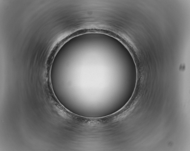 X0000090970974200708091432