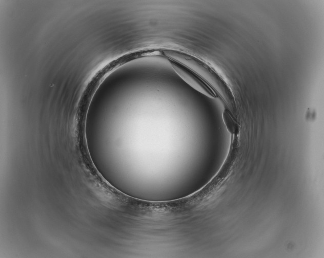 X0000090970975200708091432